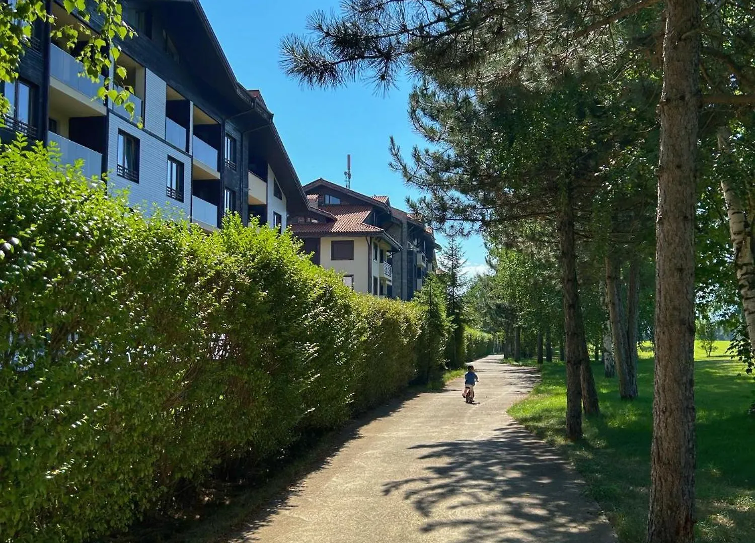 Apartment The Nature View Suite, Part Of Terra Complex & Spa Bansko
